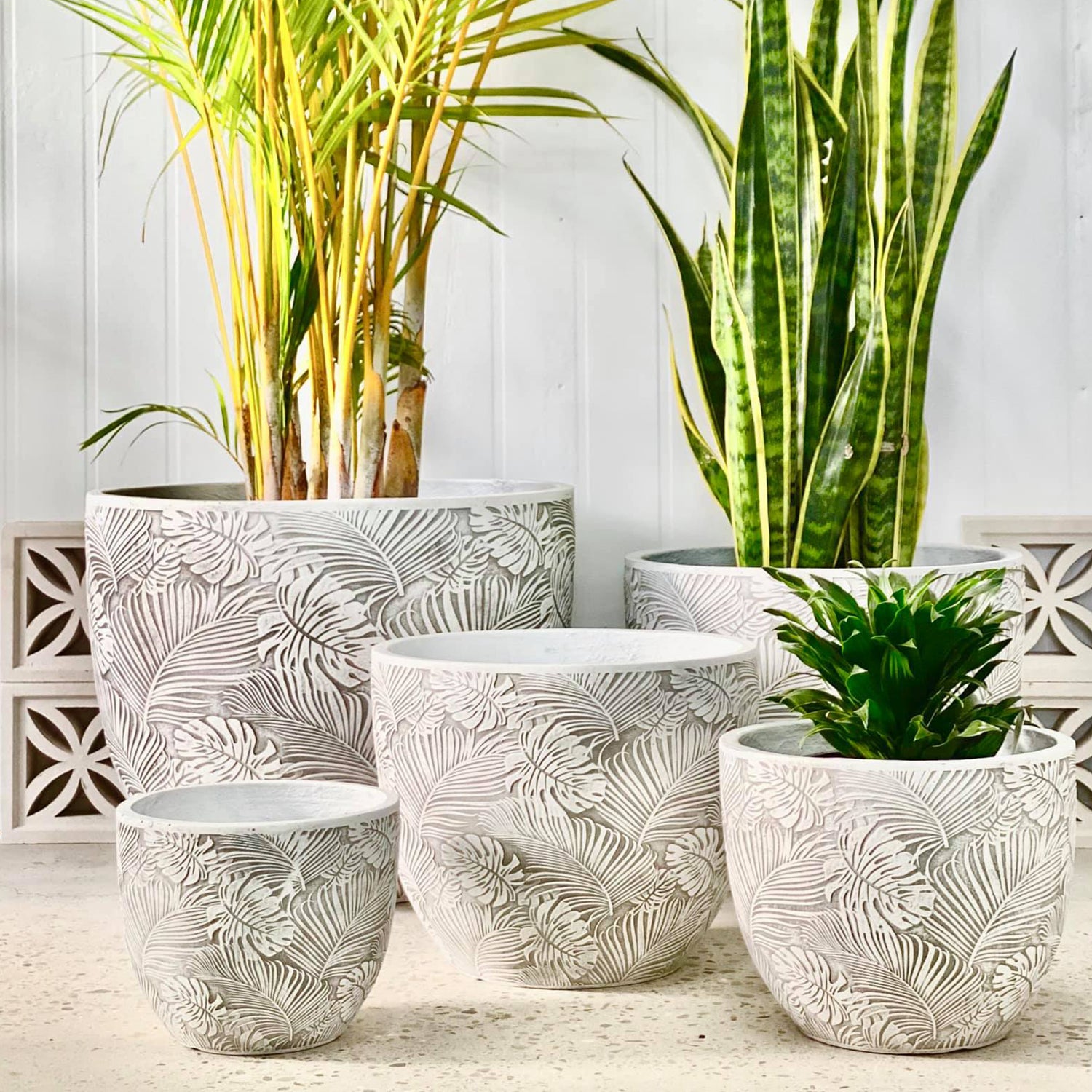 Indoor Pots and Planters