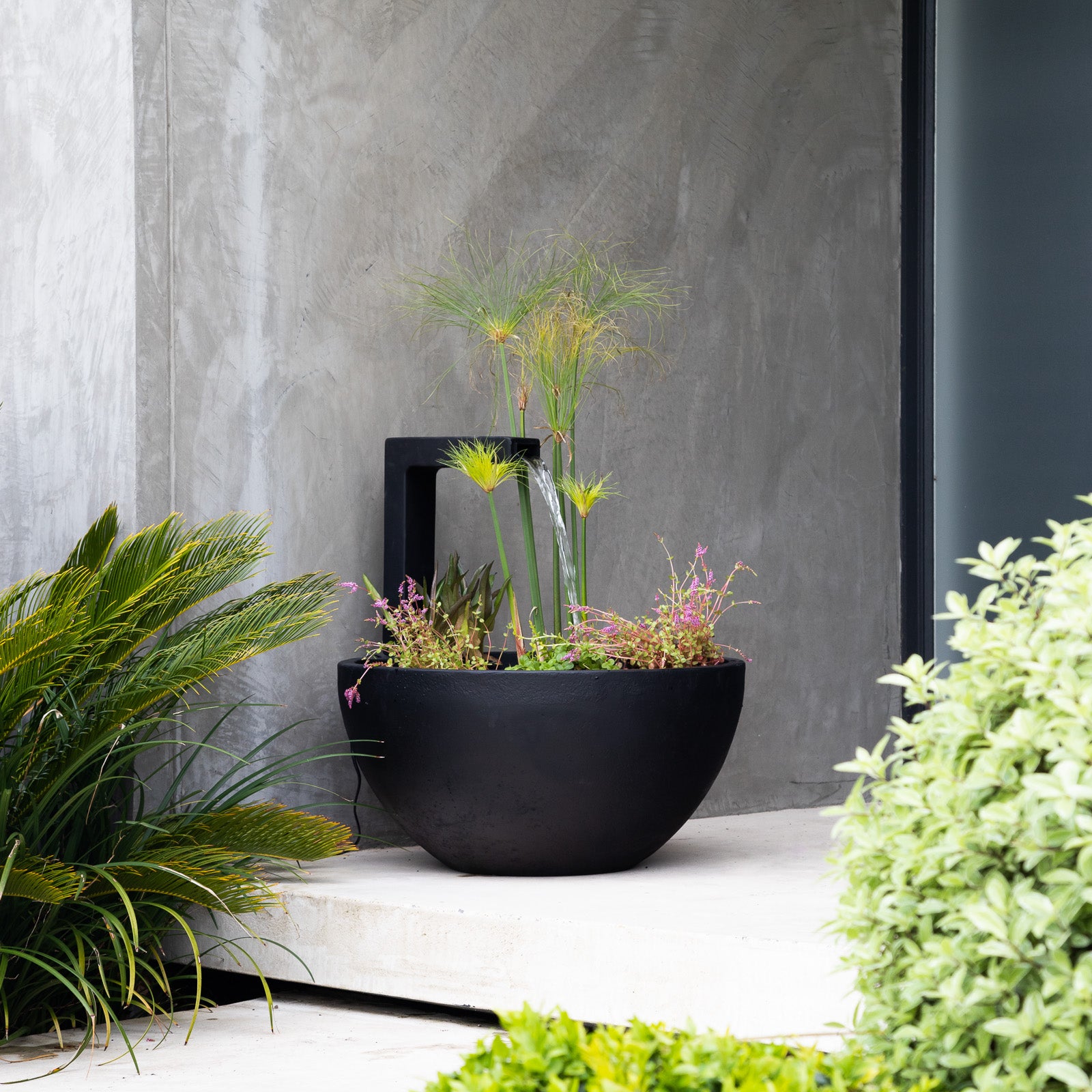 Oasis Mini-Garden in a bowl  Omotesandō – Omotesandō Plants