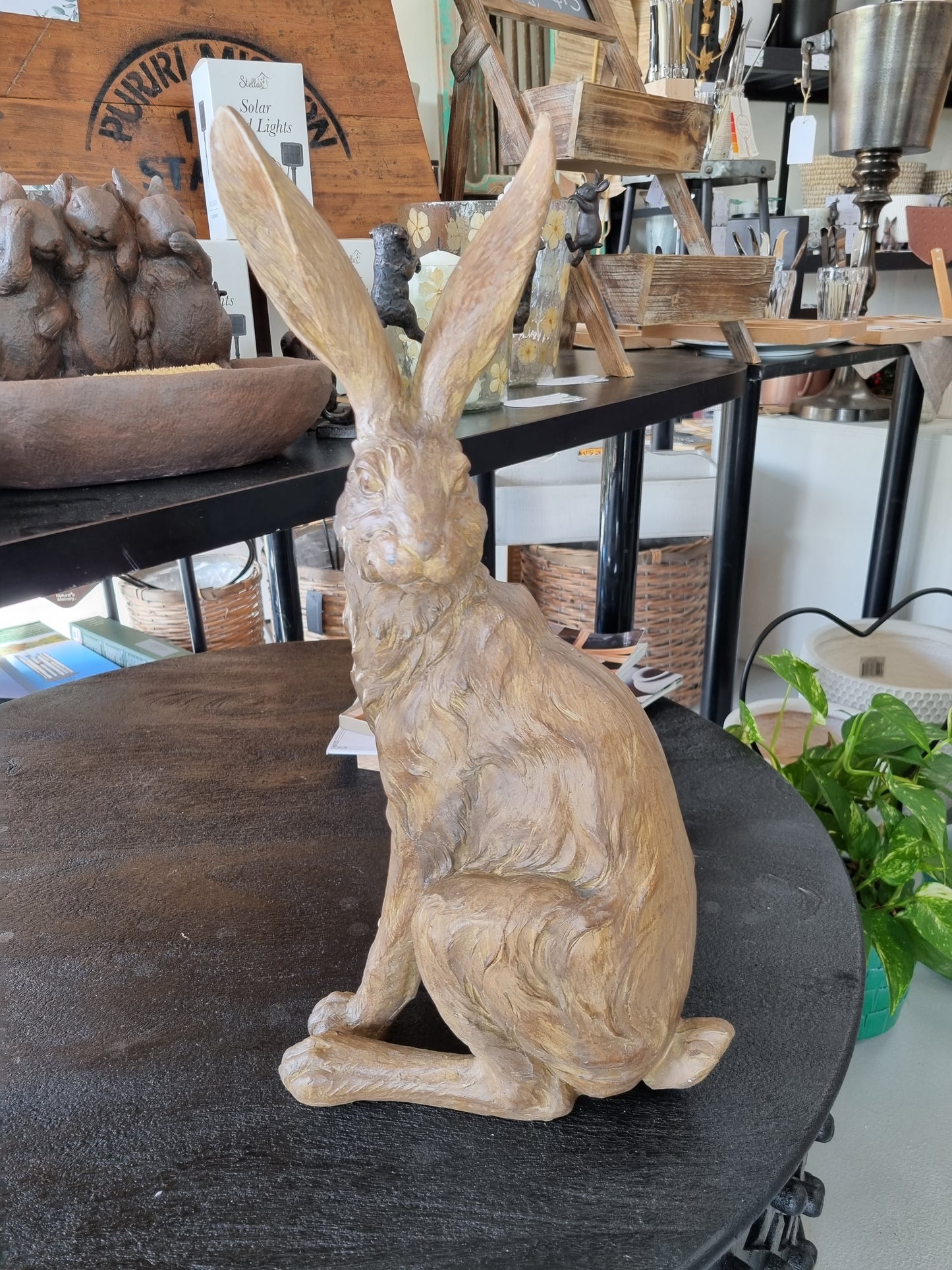 Sitting Country Hare - Indoor Earth