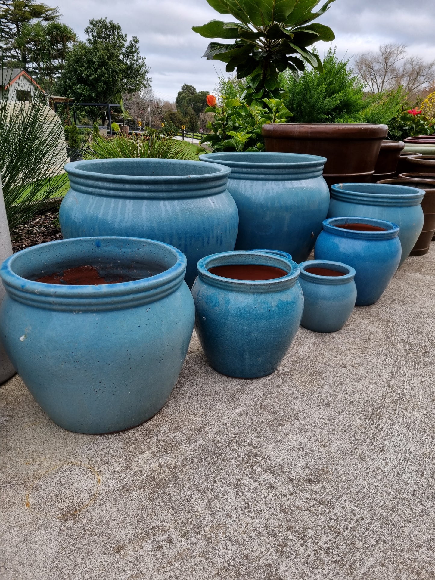 Acid Blue Olive Pots