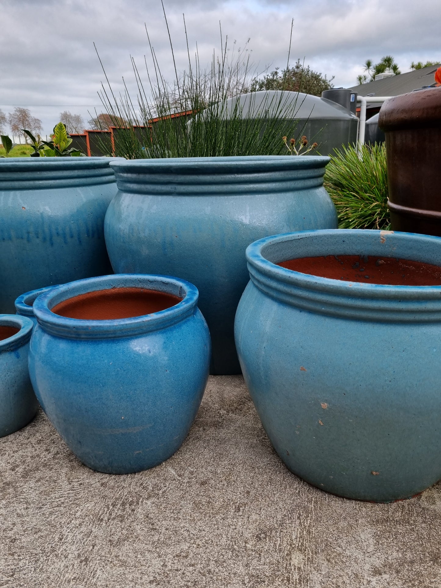 Acid Blue Olive Pots