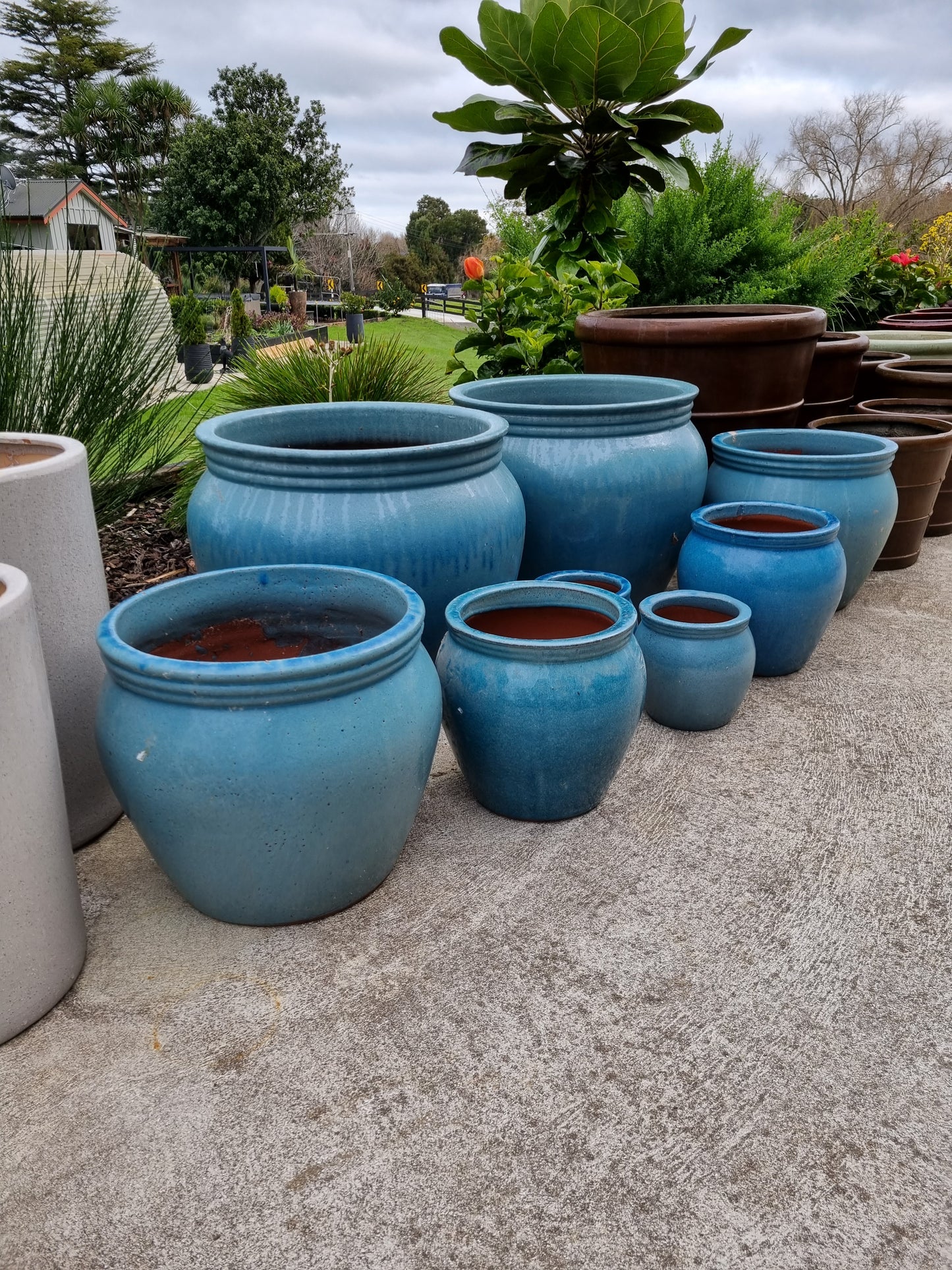 Acid Blue Olive Pots
