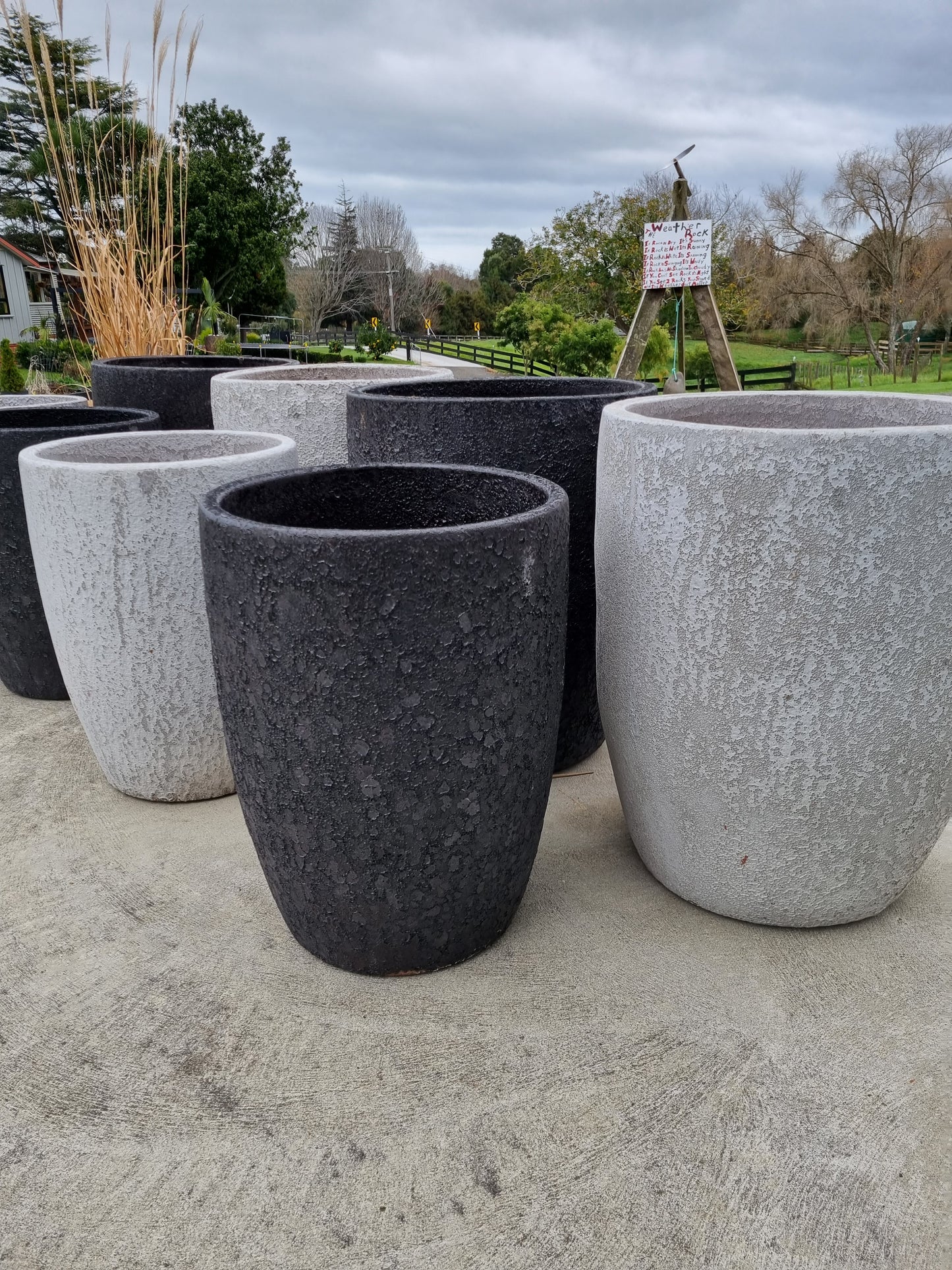 Bubble Pots - Black