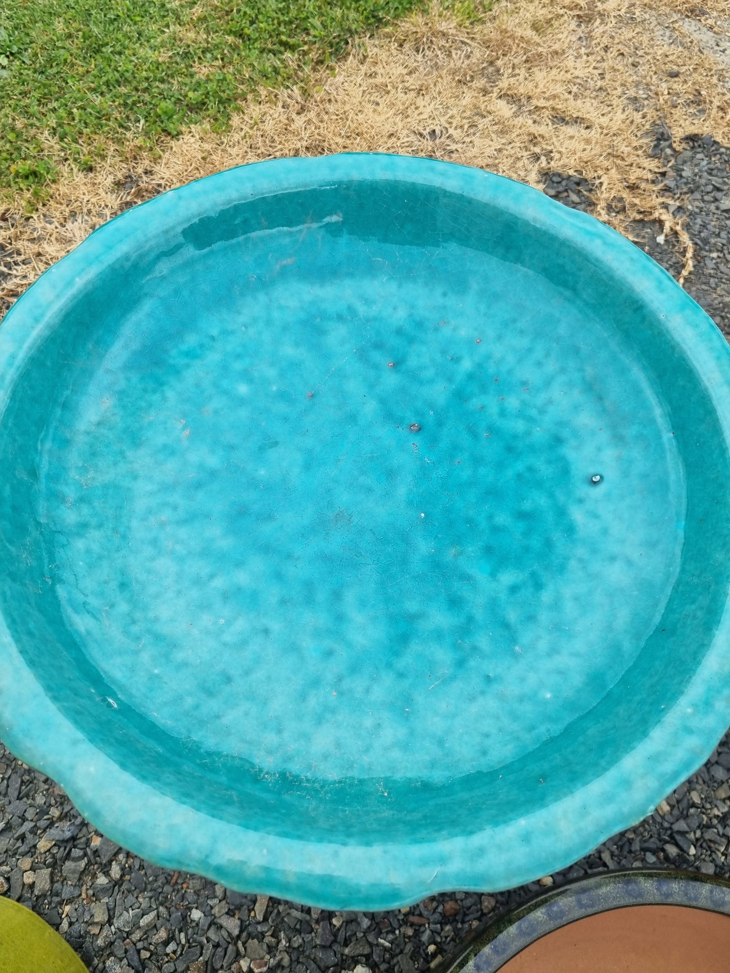 Turquoise Tulip Bird Bath