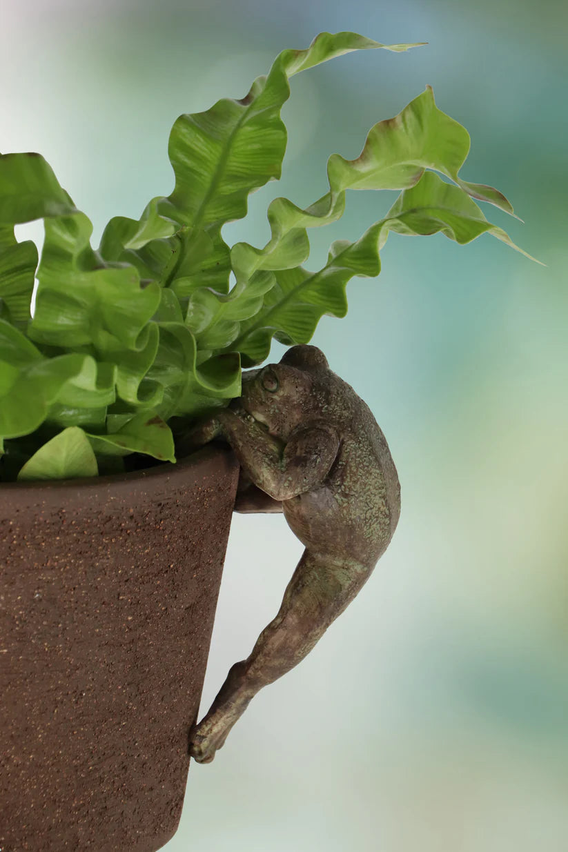 Pot Rim Decor - Rustic Frog