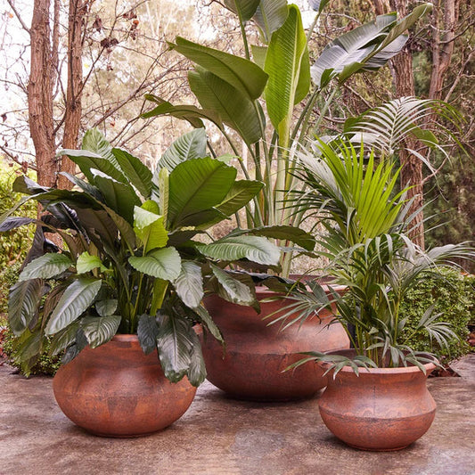 Triton Belly Pots - Rust