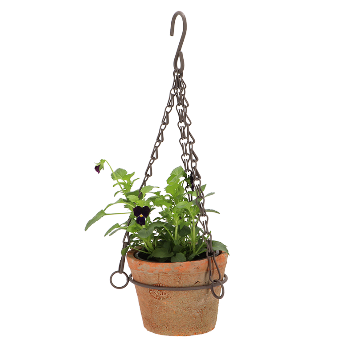 Hanging Terracotta Pot with Wire Frame - Small