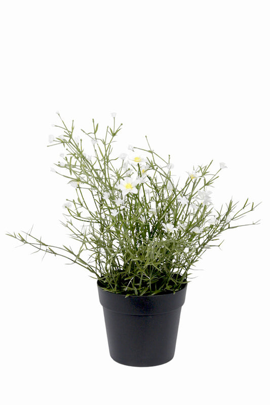 Faux Daisy Wild Flower - White