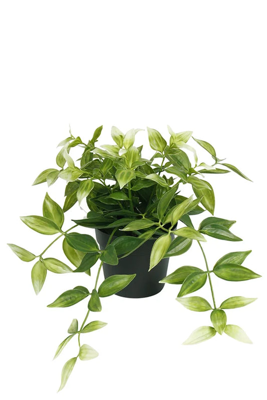 Faux Wandering Dew Green/White