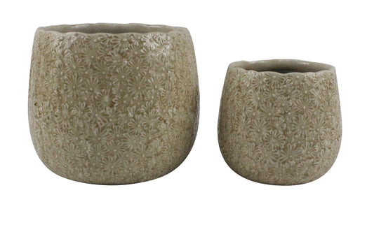 Grace Drum Pots - Honey