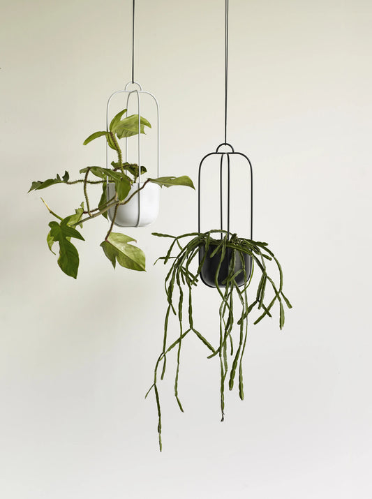 Lotus Hanging Planters - Black
