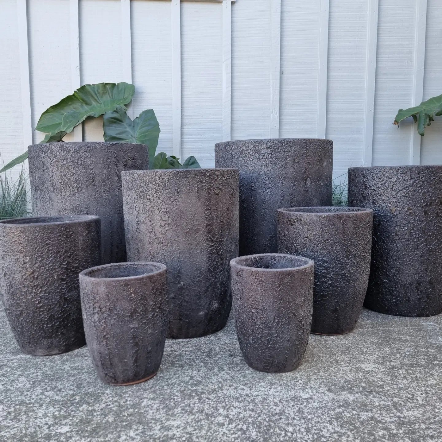 black bubble plant pot Bubble Pots