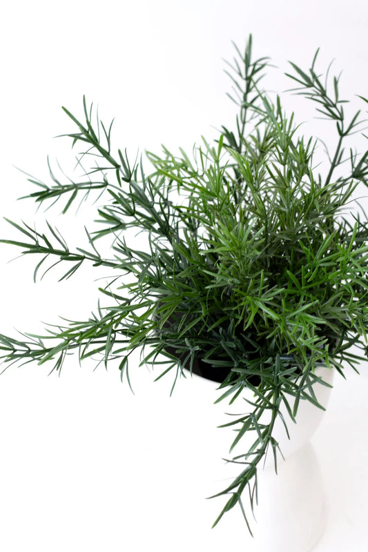 Faux Asparagus Fern Bush - 22cm