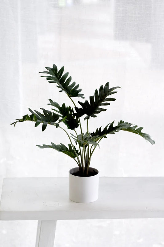 Faux Potted Xanadu Philodendron 38cm
