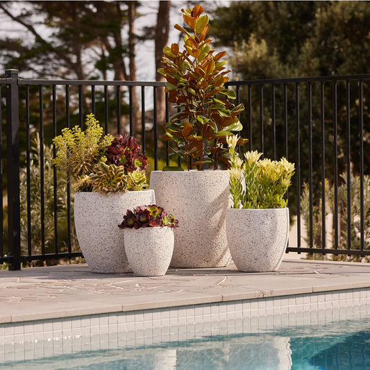 Montague Eggs Pots - White Pebble