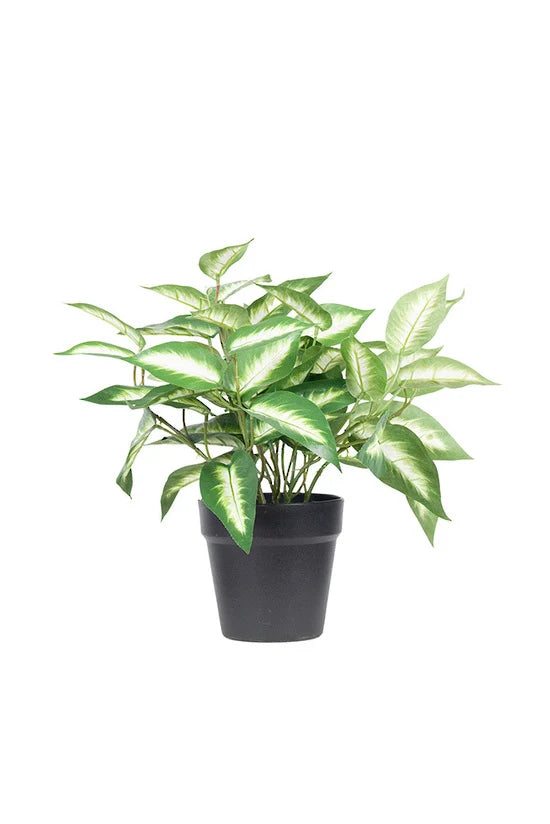 Faux Dieffenbachia Picta Artificial Potted Plant