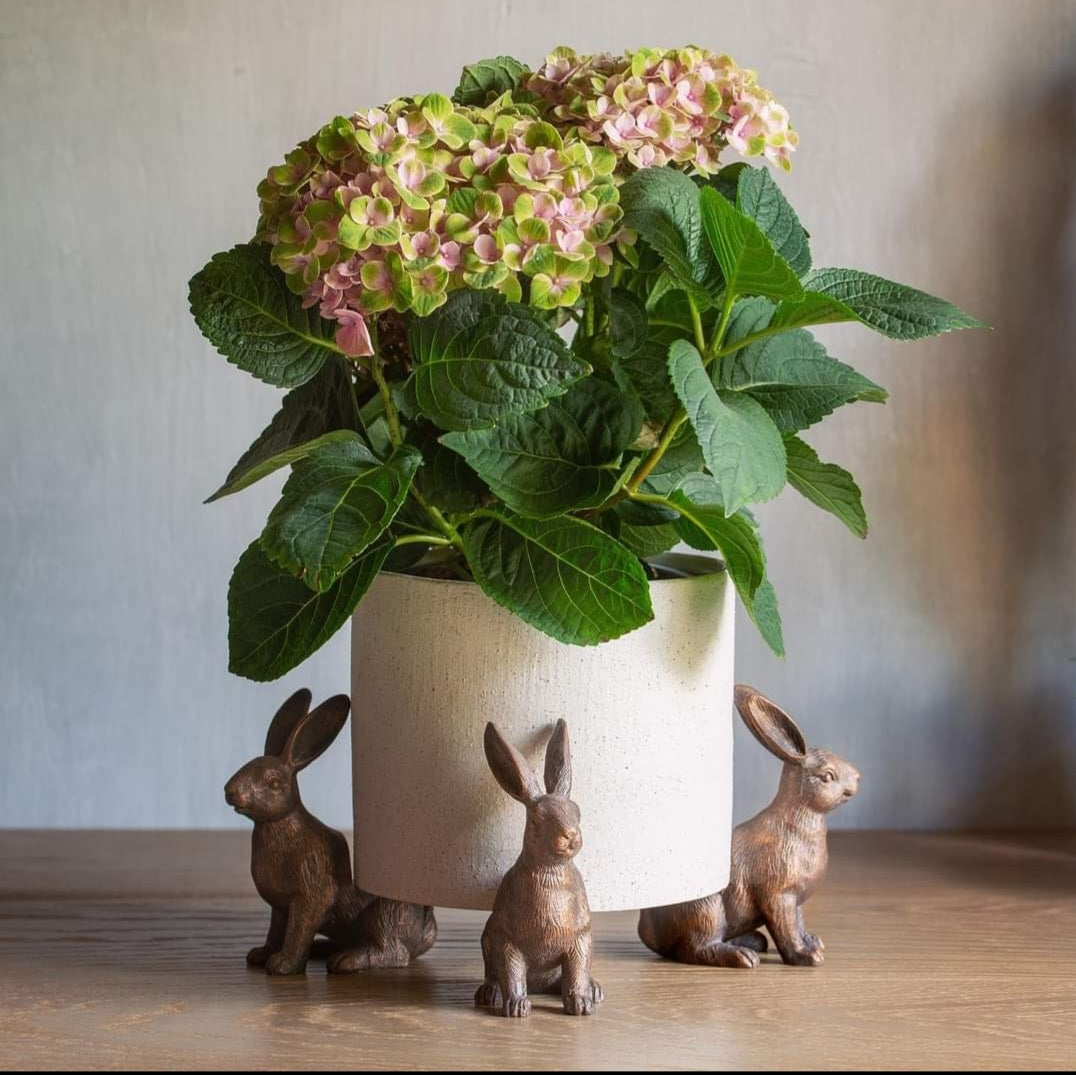 Hare Pot Feet Set of 3