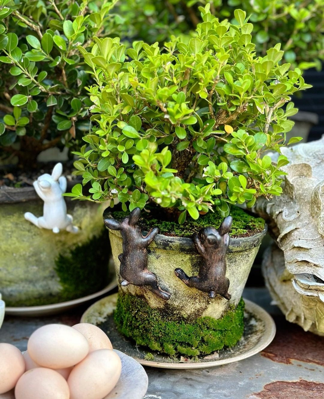 Rabbit Pot Ornament - Dark Brown