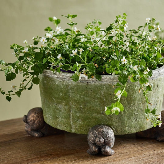 Bottoms Up - Hare Pot Feet