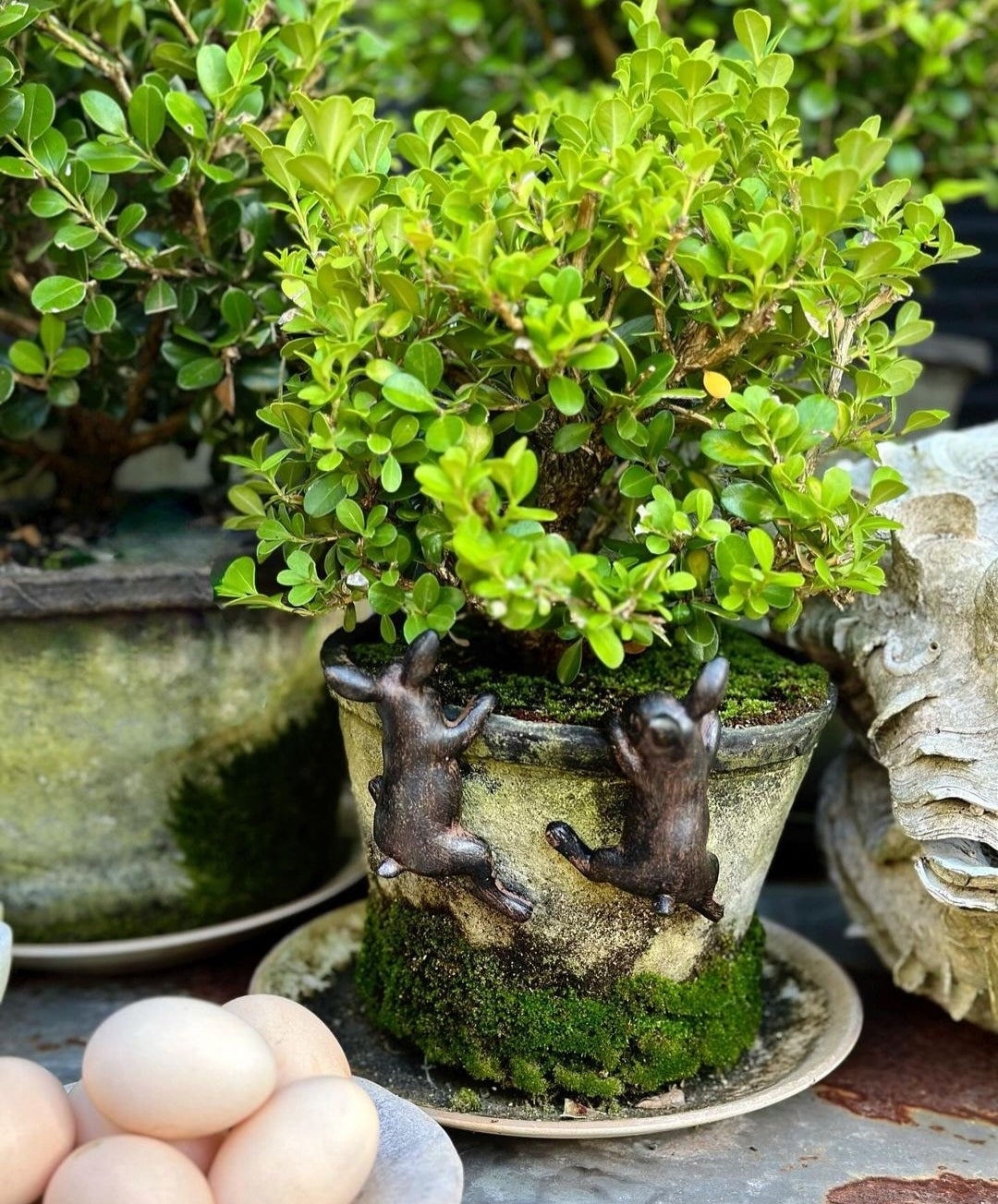 Rabbit Pot Ornament - Dark Brown