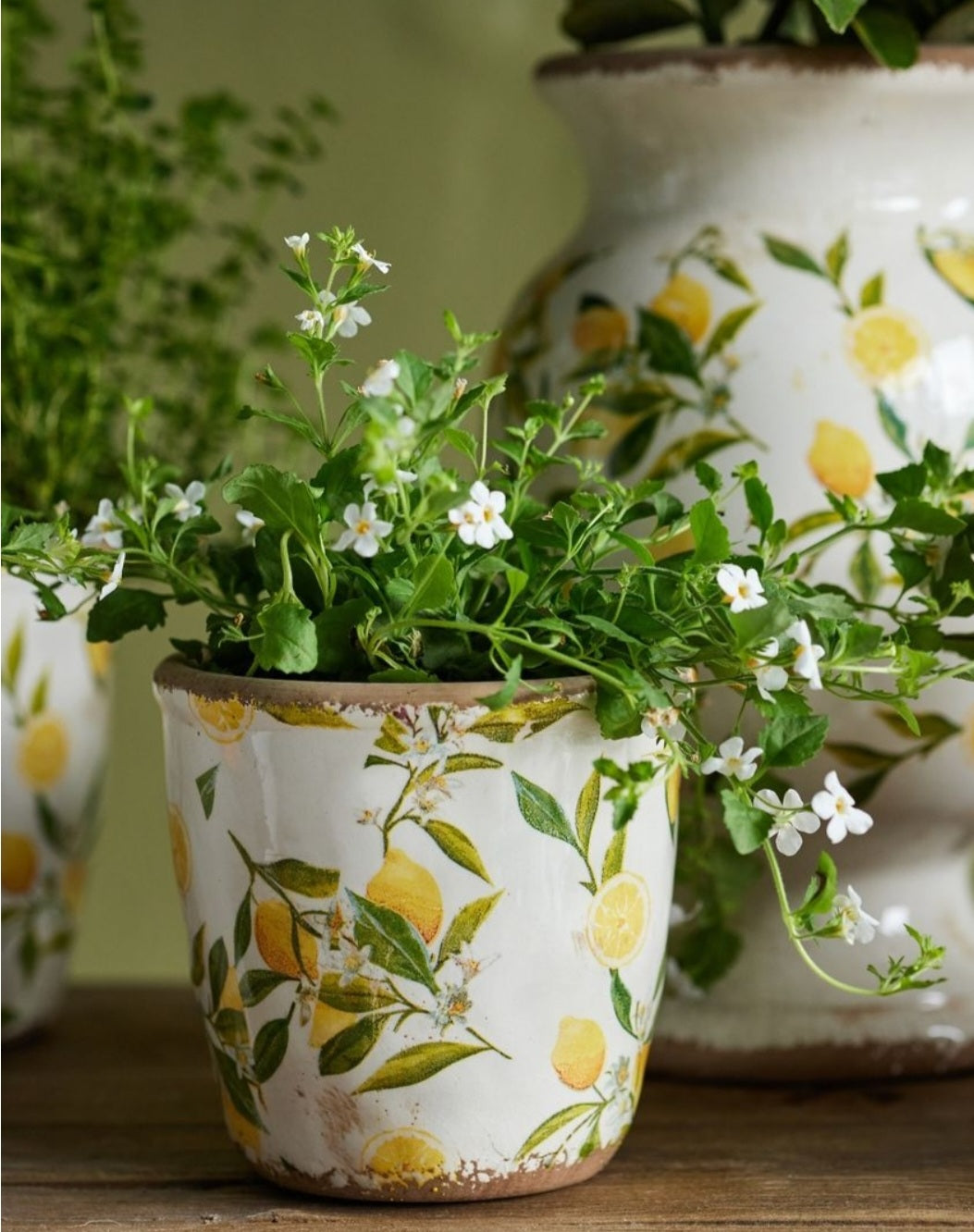 Botanical Lemon Garden Pot - Large