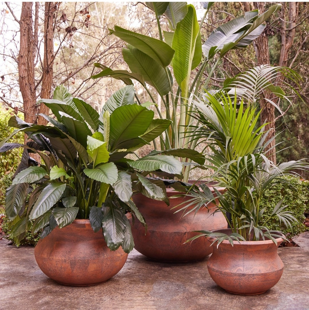 Triton Belly Pots - Rust