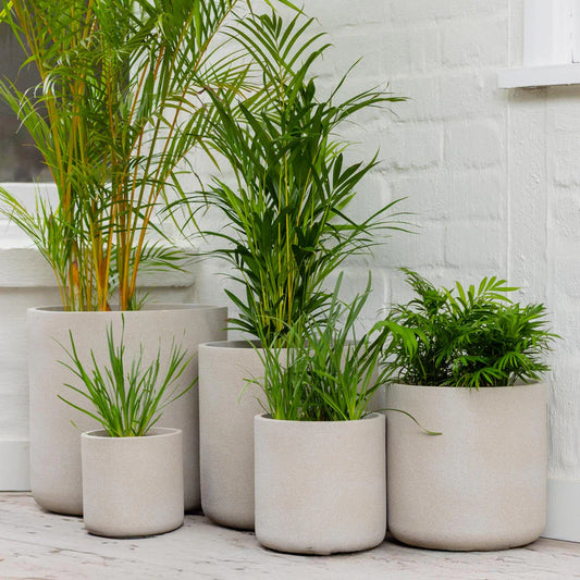 Vellum Cylinder Pots - Beige
