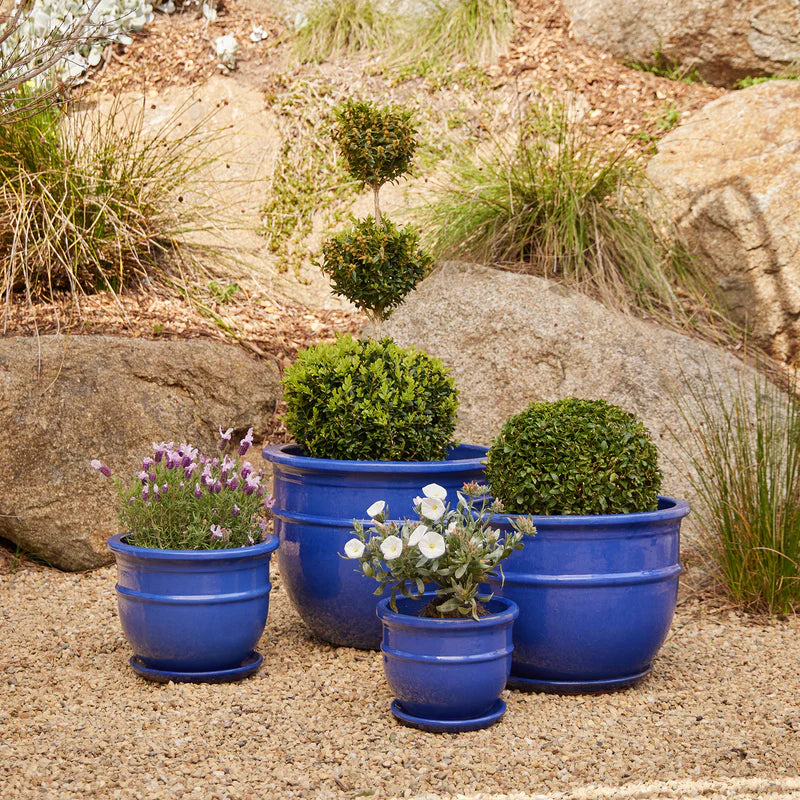Belly Pot with Saucer - Blue