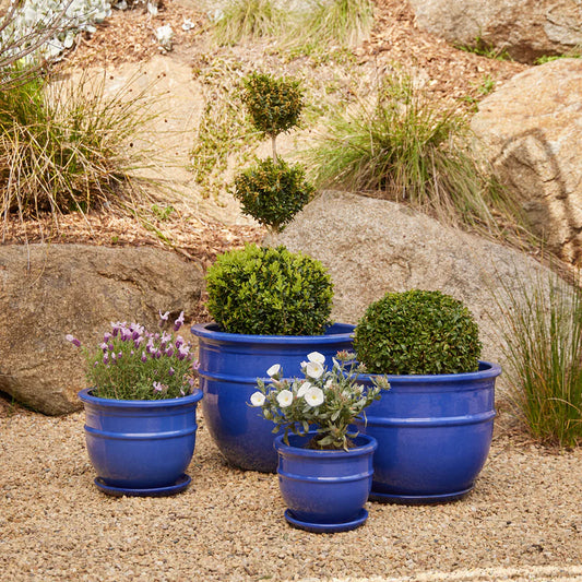 Belly Pot with Saucer - Blue