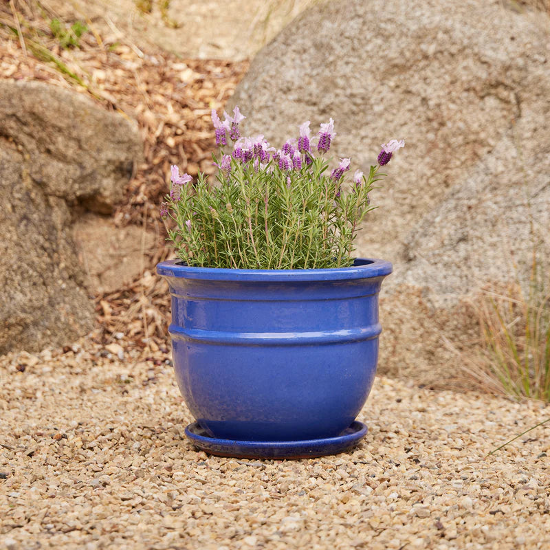Belly Pot with Saucer - Blue