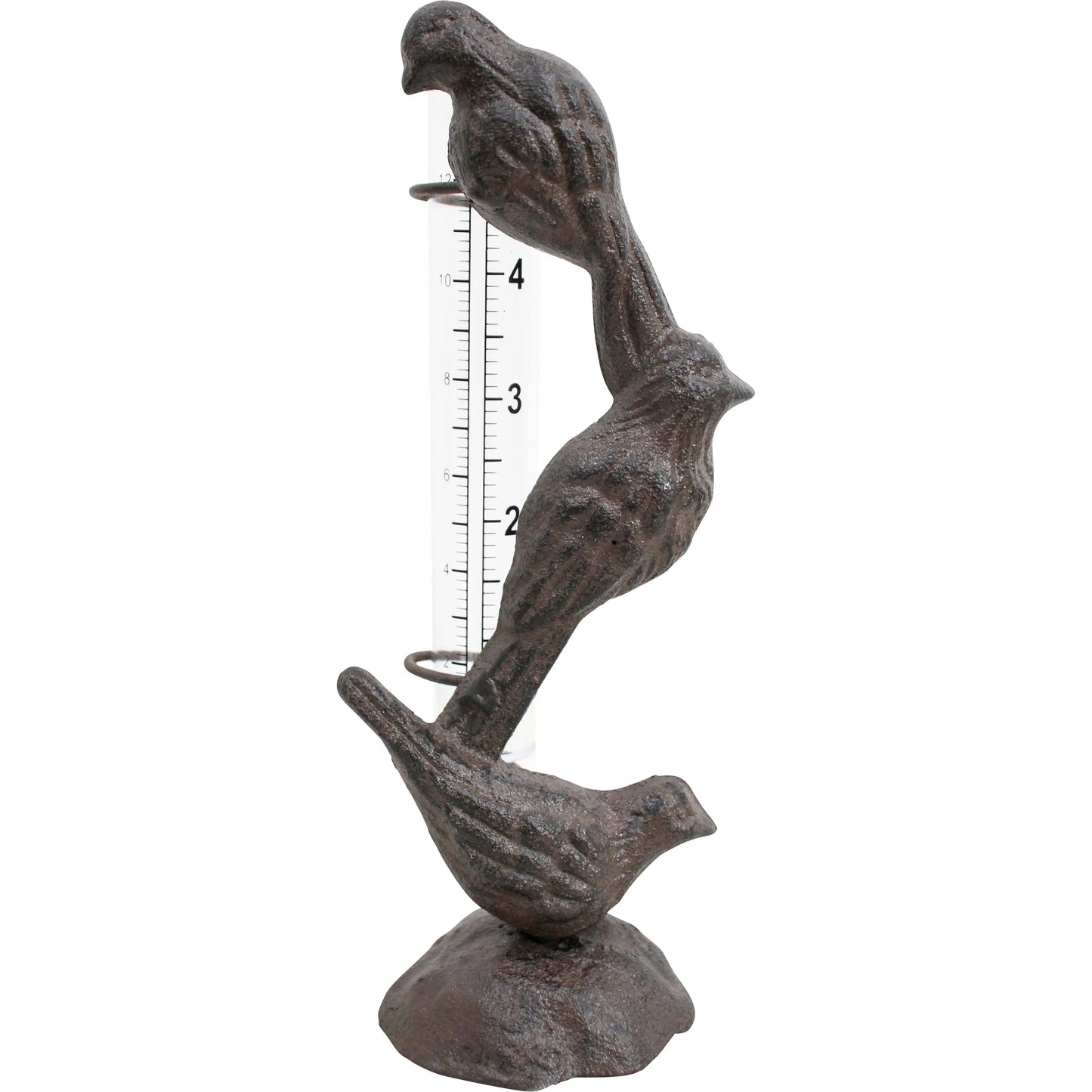 Bird Rain Guage