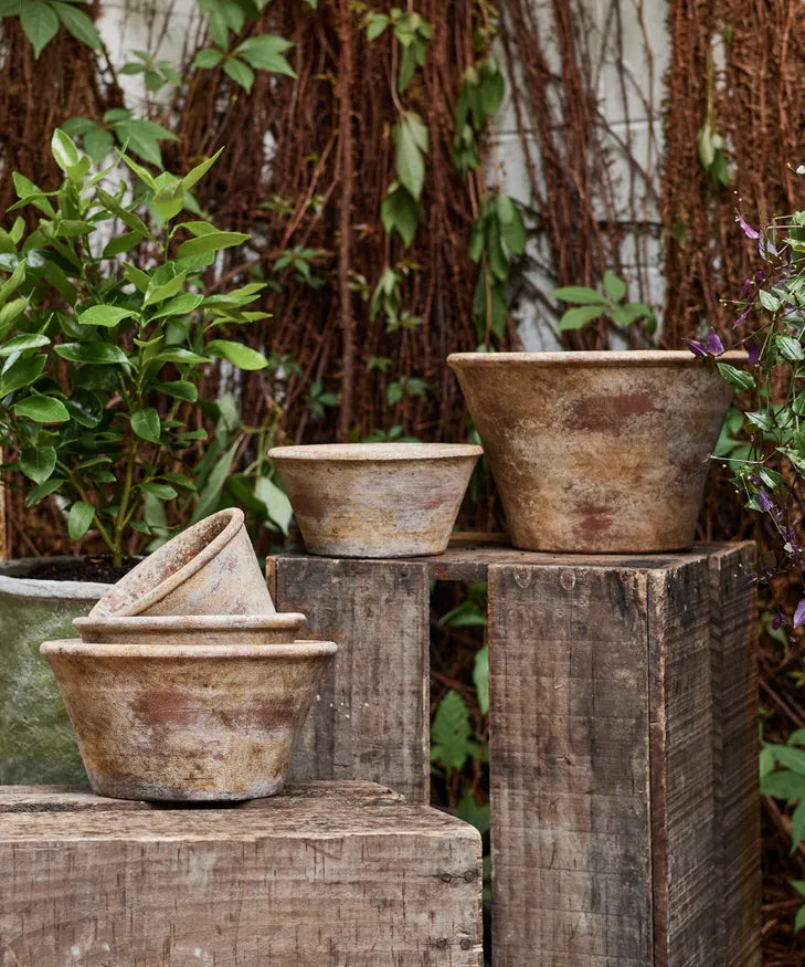 Providence Wide Bowl Planter Pots