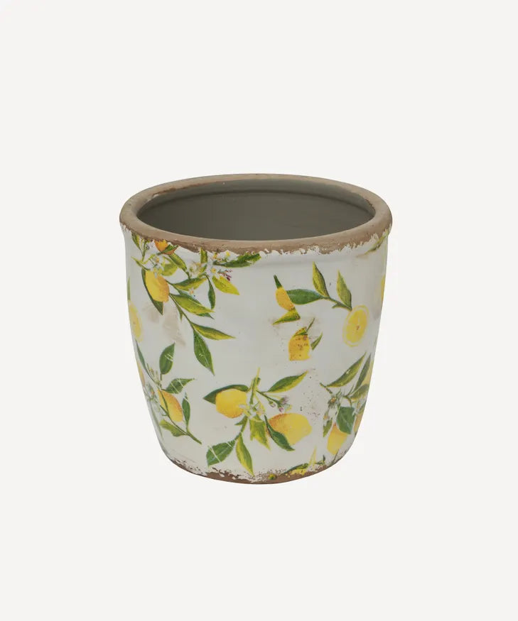 Botanical Lemon Garden Pot - Large