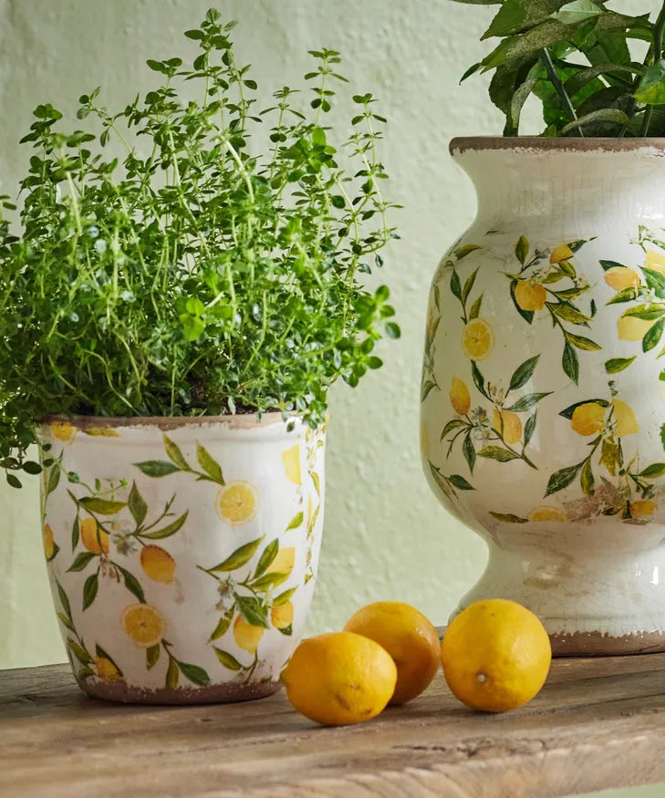 Botanical Lemon Garden Pot - Large