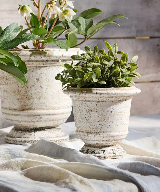 Rustic White Urn Planters