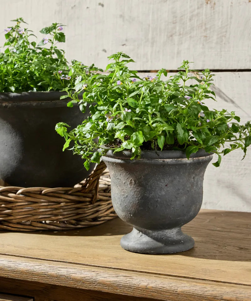 Georgio Planters Urns