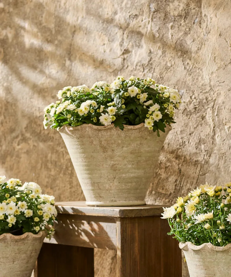 Wavy Planter  - Large