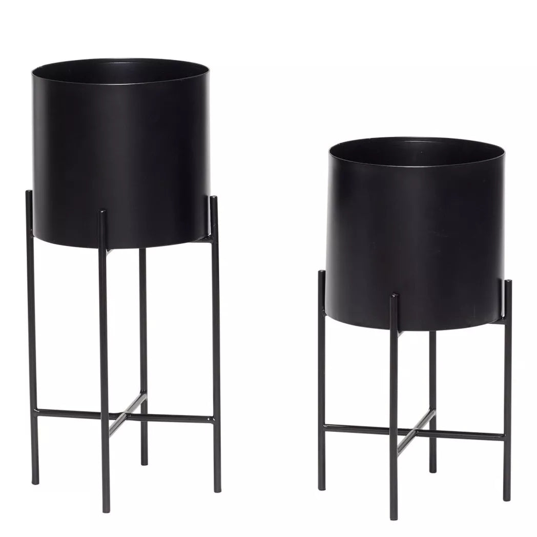 Airey Plants on Stands - Black