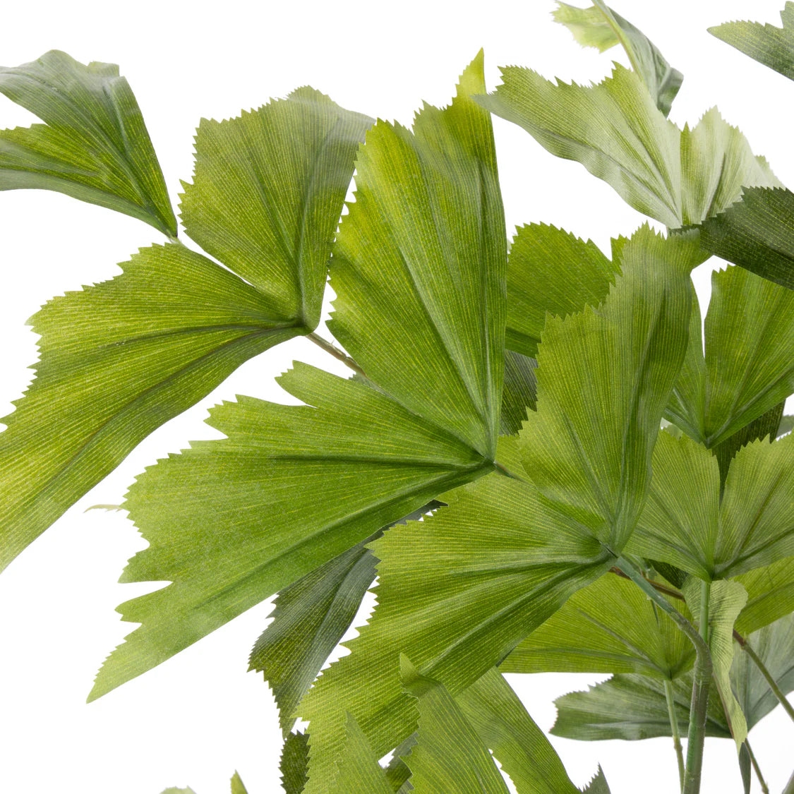 Faux Caryota Palm Tree - Garden Pot Green
