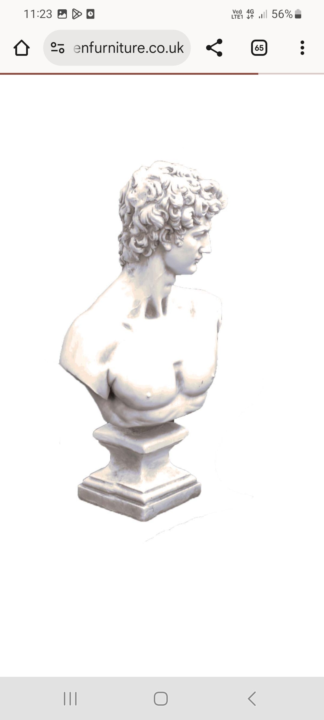 David Bust - Outdoor
