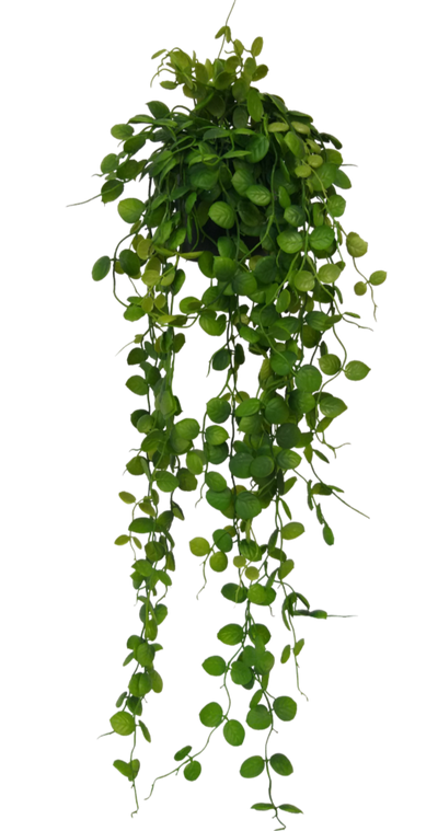 Faux Potted Saxifraga Veitchii – Trailing Faux Plant 74cm