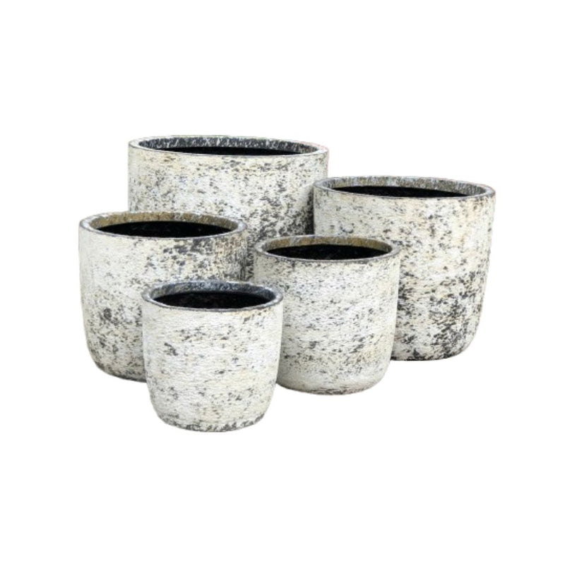 Prague Egg Pots - Atlantic White