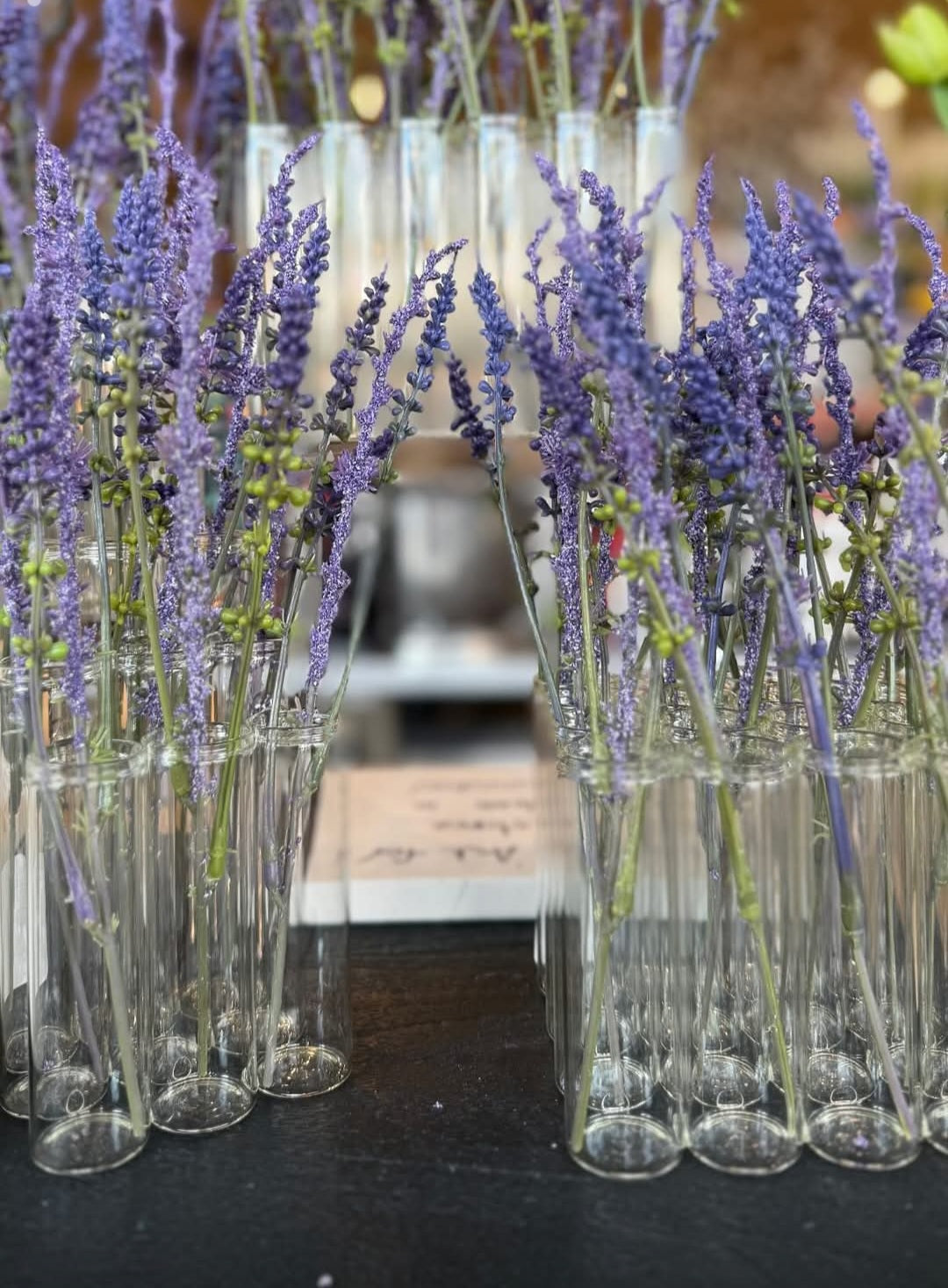 Test Tube Vase Display