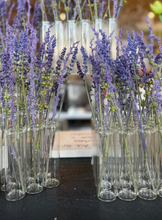 Test Tube Vase Display