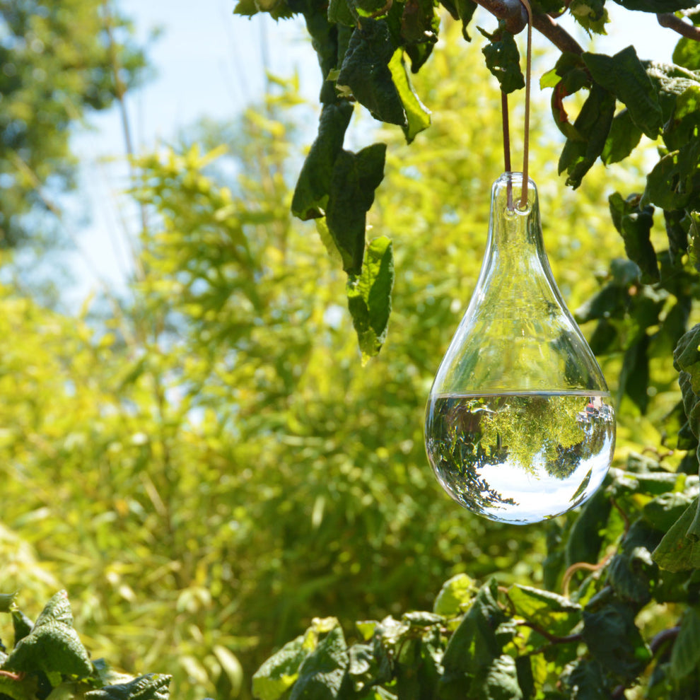 Fly Deterrent Vintage Glass