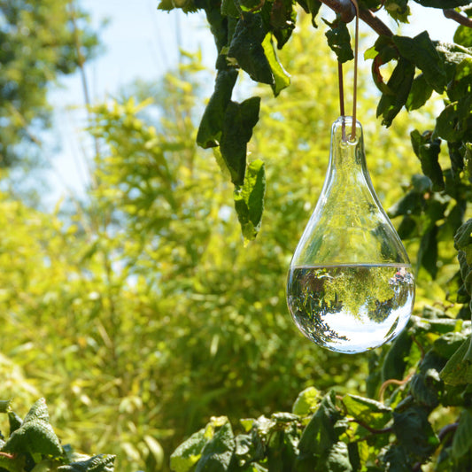 Fly Deterrent Vintage Glass