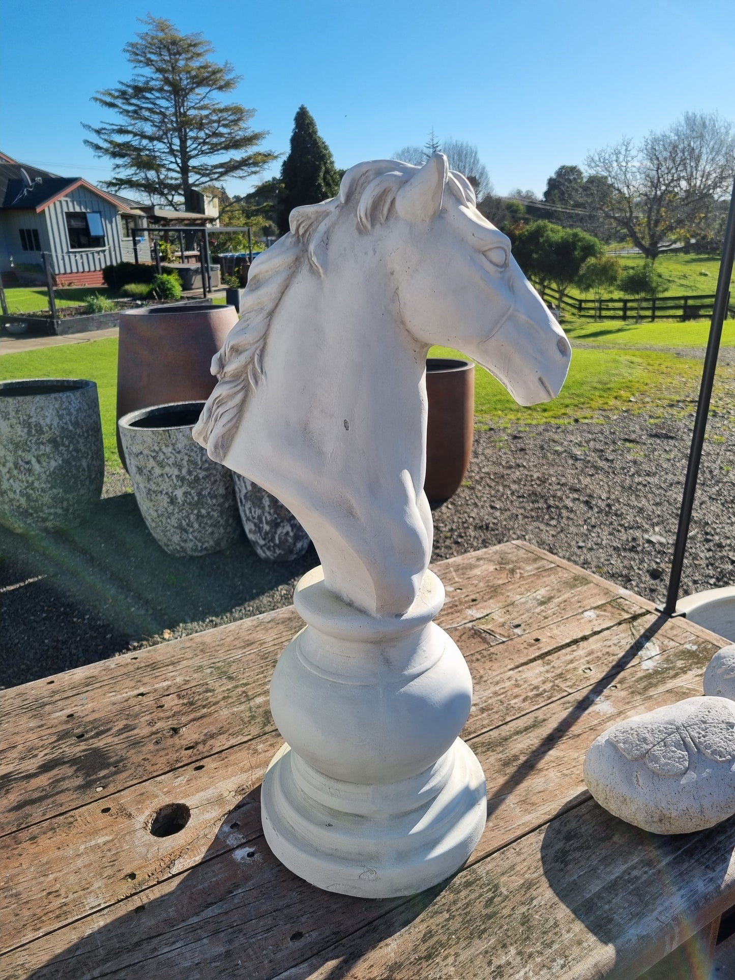 Knight Chess Piece - Outdoor