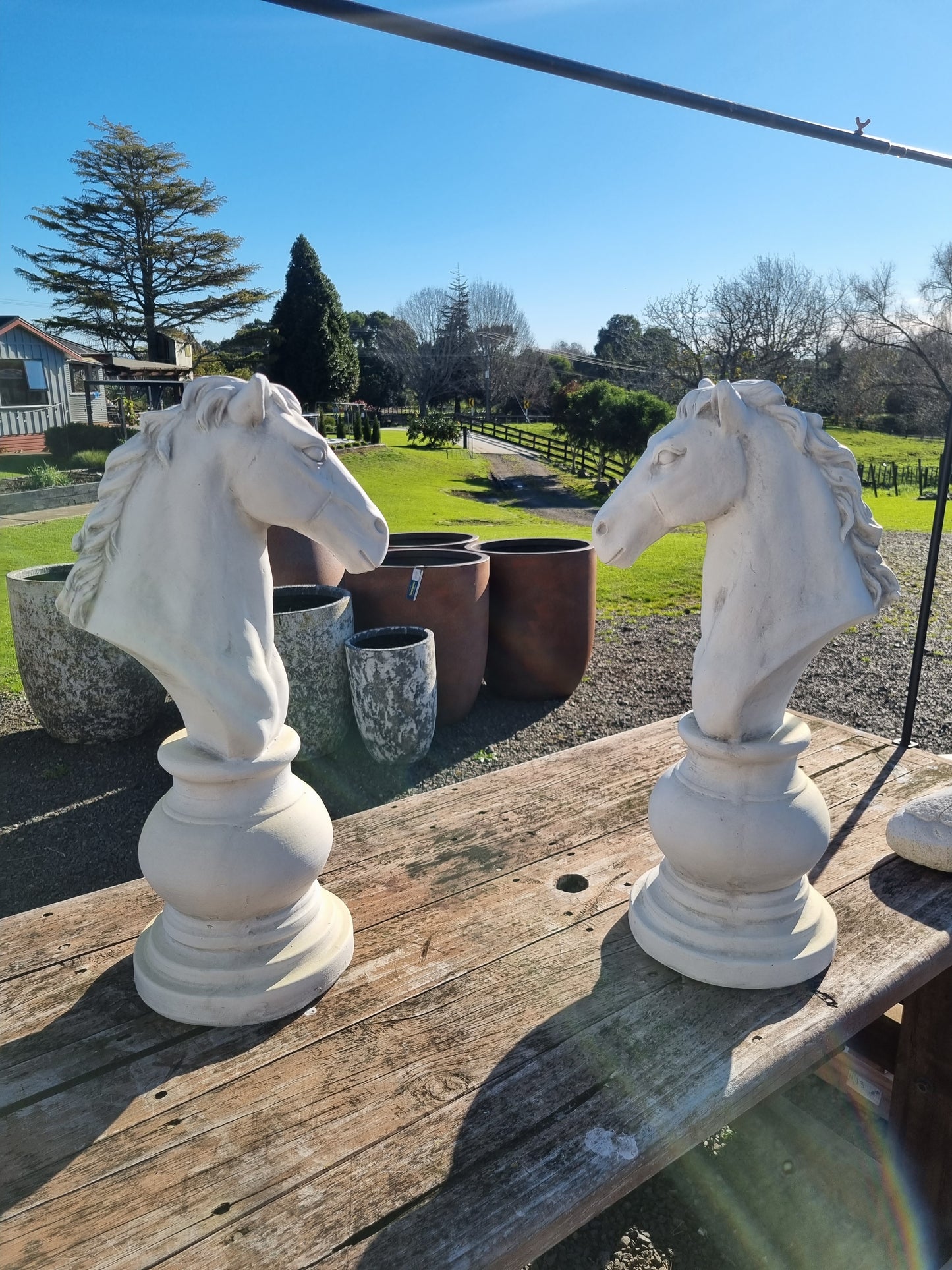 Knight Chess Piece - Outdoor