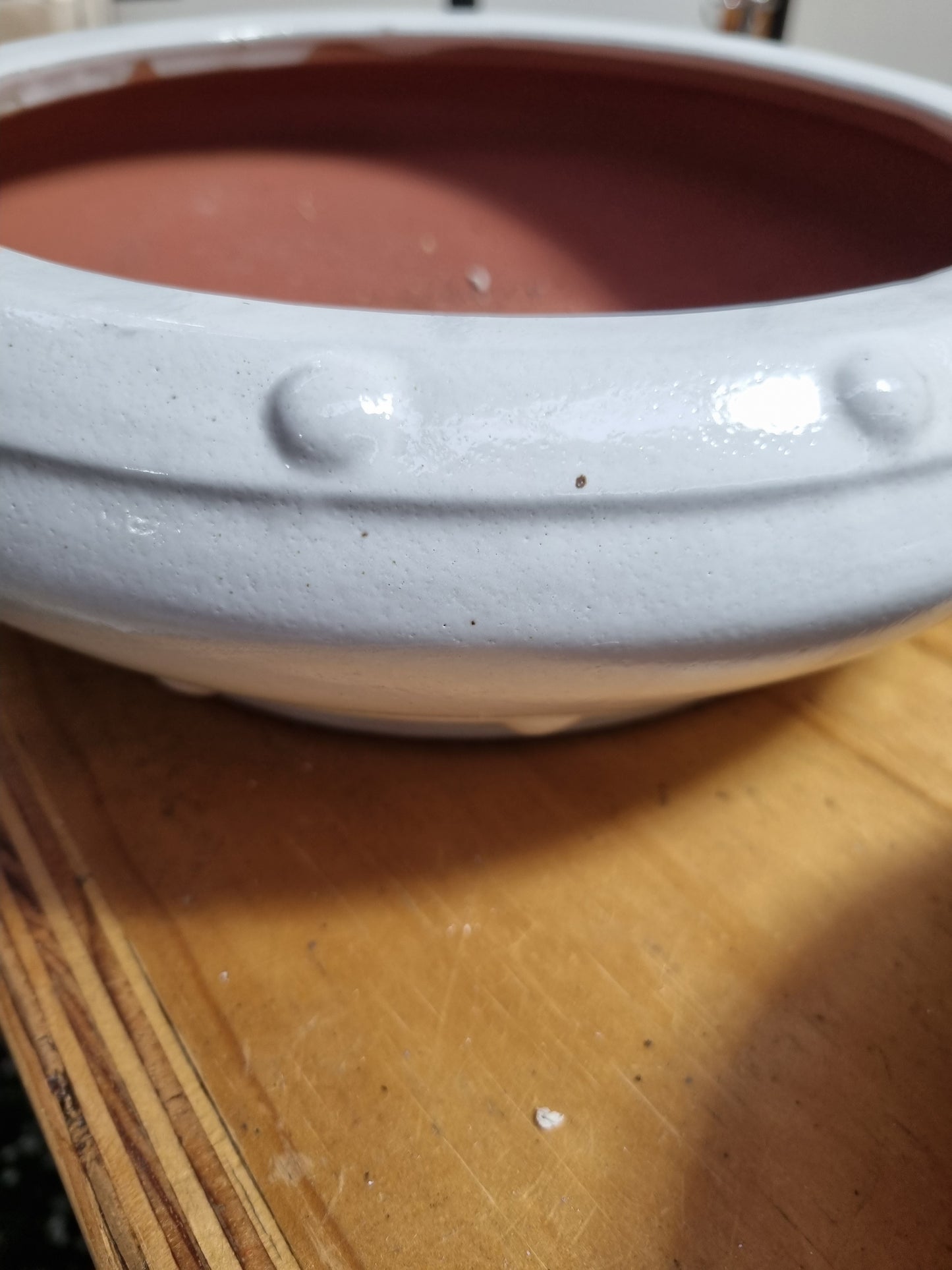 White Studded Bonsai Pots