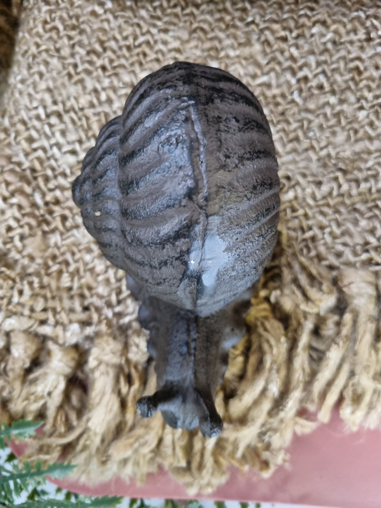 Sheldon the Snail